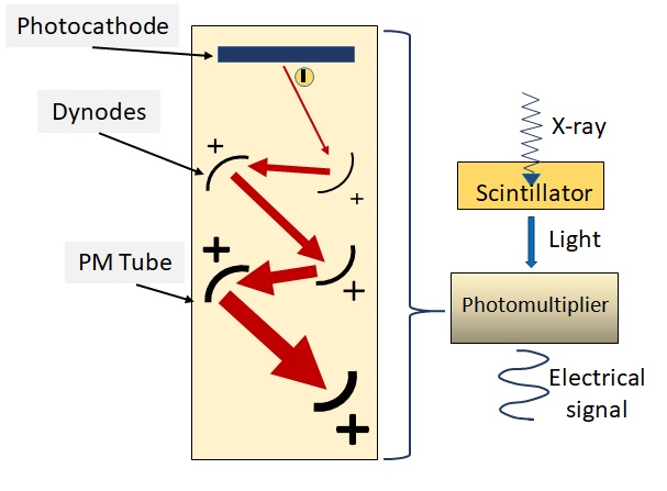 Photomultiplier Tube (PMT)